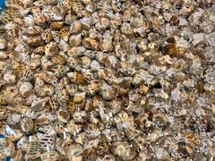 -三亚火车头万人海鲜广场