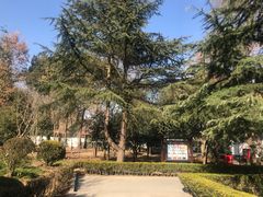 -上海佘山国家森林公园天马山园