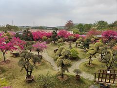 -盈香心动乐园