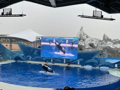 -上海海昌海洋公园