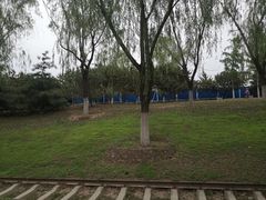 -永定河休闲森林公园