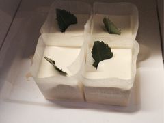 iphone_upload_pic-21cake廿一客蛋糕