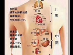 -裕和堂中医推拿艾灸(太古汇臻品店)