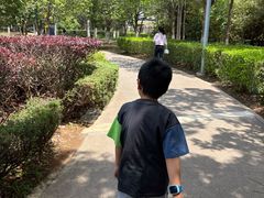 -澹台湖公园
