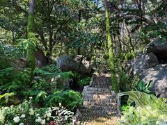 -沂蒙山旅游区云蒙景区(蒙山国家森林公园)