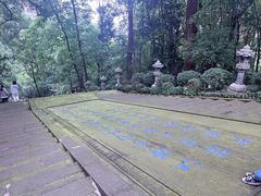 -忠山公园