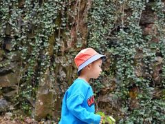 -上海佘山国家森林公园西佘山园