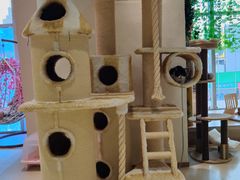 -藏猫猫咖啡主题馆(中央大道店)