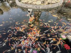 -上海东林寺(金山区)