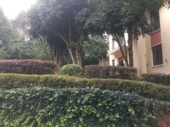 -上海市保健医疗中心(华东疗养院)