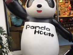 -熊猫屋(宽窄巷子景区店)