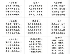 -澳洲袋鼠早教(南二环店)