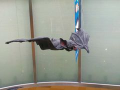 -鹏欣水游城