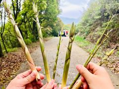 -穹窿山景区
