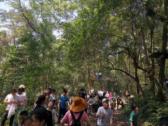重庆飞越丛林探险乐园(歌乐山园区)-"周末遛娃好去处——重庆飞越丛林
