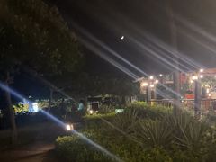 -渔家火锅·海鲜自助餐·演艺(亚龙湾天域酒店)