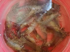 -盒马鲜生(宝地店)
