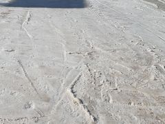 -采薇庄园四季滑雪场