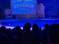 -华夏文旅海洋公园