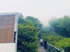 -梧桐山风景名胜区