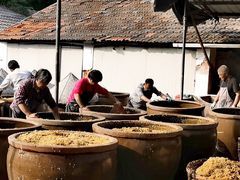 -苏州市吴中区光福窑上花果蜜饯厂