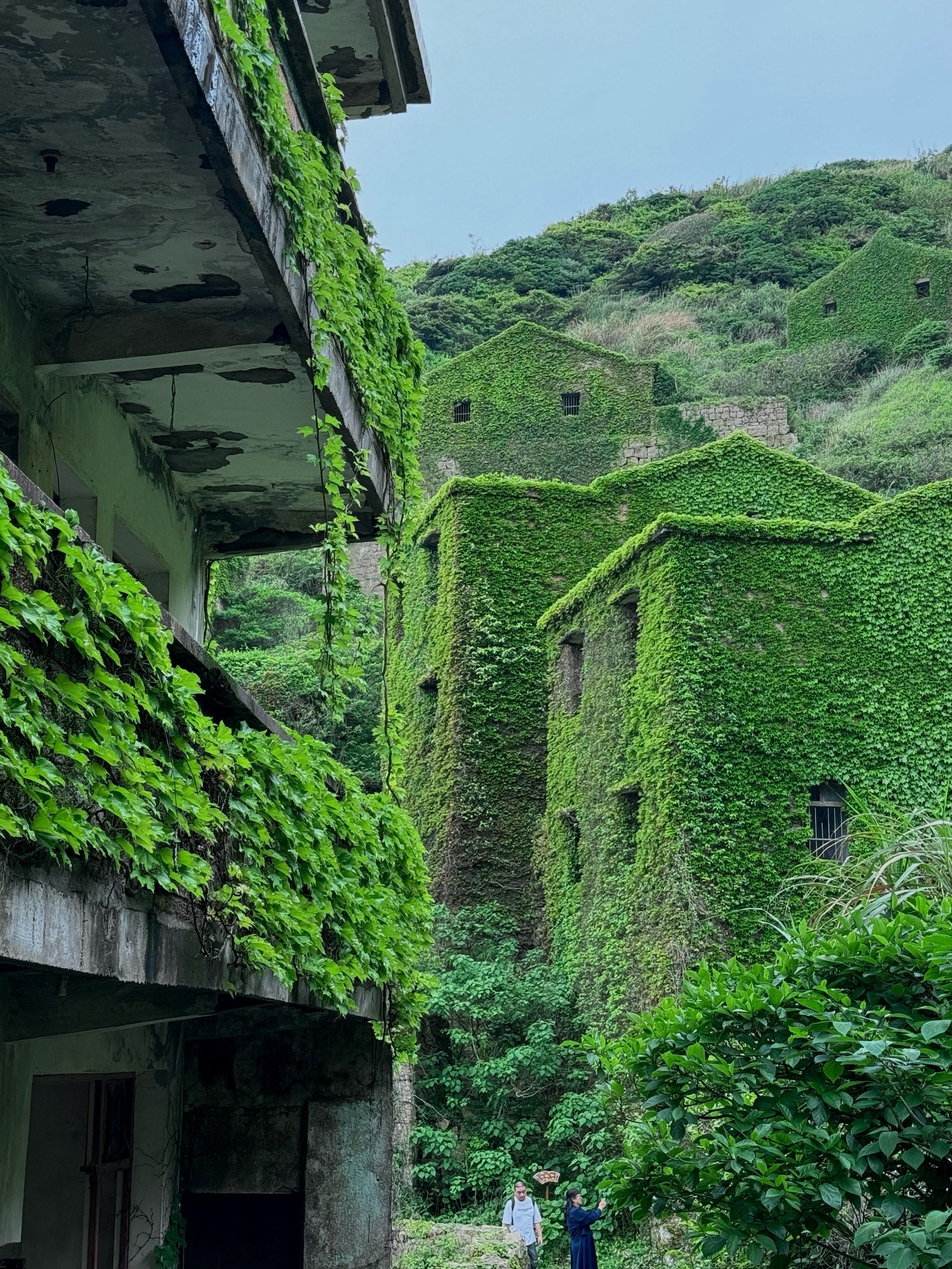 枸杞岛无人村闹鬼图片