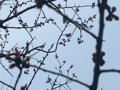 -南开大学(津南校区)