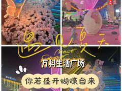 -万科生活广场(东莞松山湖店)