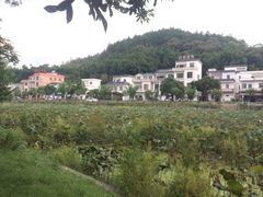 -红山村