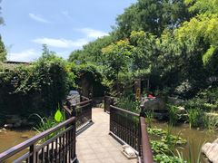 -聚缘堂·海鲜私房菜(松岭路店)