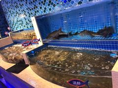 -乔哥铭洋海鲜自助(皇城恒隆广场店)