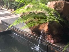 -昆明柏联SPA温泉