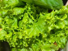 -青瓦餐厅·生鱼片·韩园烤肉(西塔店)