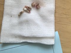 -美迦爱-牙专科·兔科·骨科诊疗中心(北苑店)