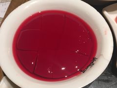鲜鸭血-纸盐河码头火锅(十八梯店)