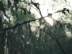 -水磨沟公园