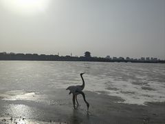 -东昌湖风景区