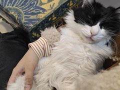 -平行世界·猫咖(首经贸店)