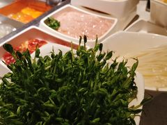 -海底捞火锅(团结桥店)