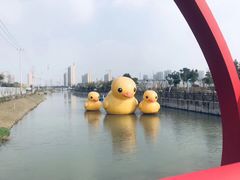 -菊园百果园