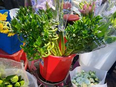 -循礼门鲜花花市(武汉循礼门店)