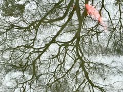-杭州植物园