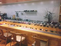 -柴务处·柴犬主题狗咖