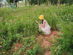 -盘龙城国家考古遗址公园