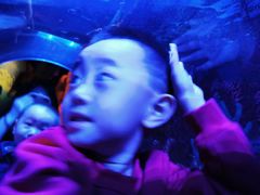 -沈阳海洋探索中心