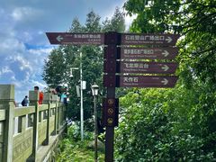 -阳台山森林公园