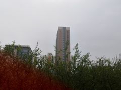 -AdD全日制餐厅(中谷花园酒店)