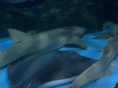 -常州海昌海洋探索馆