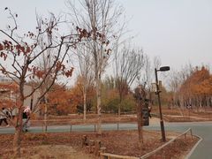 -回龙观体育文化公园