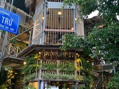 -Rainforest